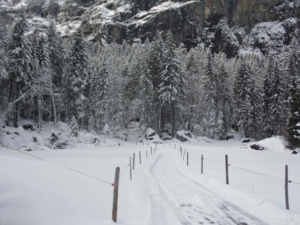 Appartment Chalet Sonnenheim Kandersteg Luaran gambar