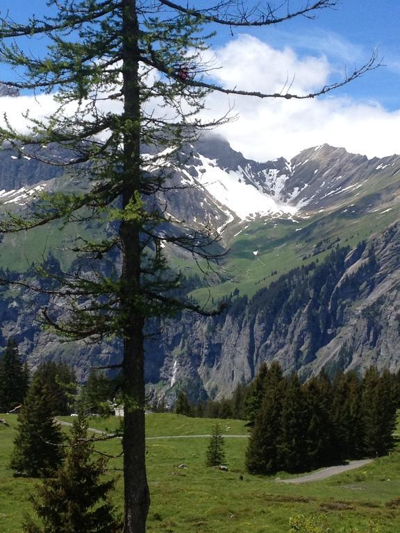 Appartment Chalet Sonnenheim Kandersteg Luaran gambar
